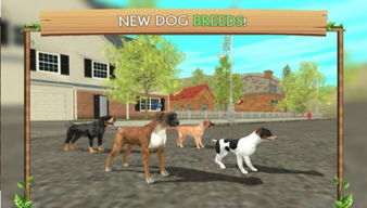 在线模拟狗游戏 在线模拟狗安卓版下载 v8.1 跑跑车安卓网 