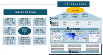 简述商业银行风险管理的基本程序