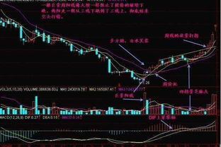 如何用周k线找牛股「股市知识丨如何从周K线找到黑马股」