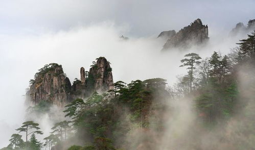 黄山 五岳三山之一,可谓 五岳归来不看山,黄山归来不看岳