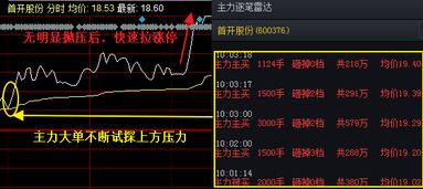 求一股票主力资金实时监控软件