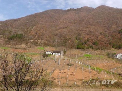 陕西安康汉滨中原镇