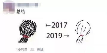 2017 2019 对比挑战,这是个什么梗 