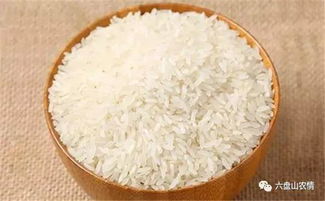 夏季大米保存方法