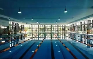 降暑攻略丨深圳各区体育中心游泳馆开放时间及收费标准全在这了