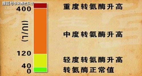 谷丙转氨酶 骨刺 甲状腺结节 身体怎么这么多 毛病