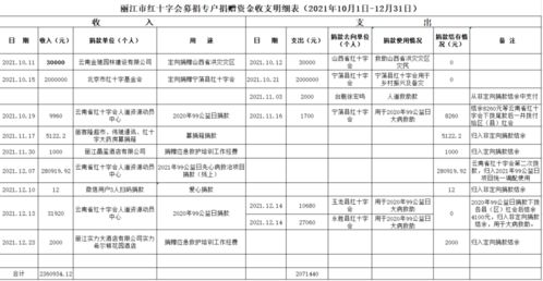 救灾资金支出情况报告范文-红十字会公示收支吗？