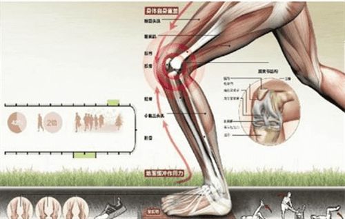 跑完步膝盖疼是怎么回事 