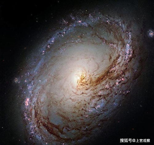 有研究者怀疑椭圆星系不是智慧生命的摇篮