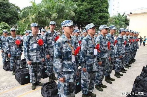 大学生入伍建议 要么早一点,大学新生,要么晚一点,毕业再入伍