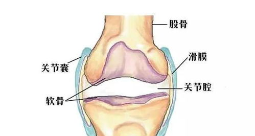 老中医秘方 农村1种常见食材,1天不到1块钱,7天治好滑膜炎