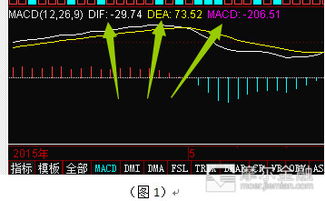 怎么在国金证劵软件上查找既定股票？