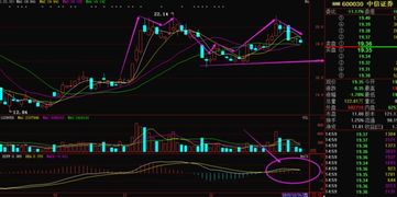 有谁知道中信证券为什么下跌这么厉害?