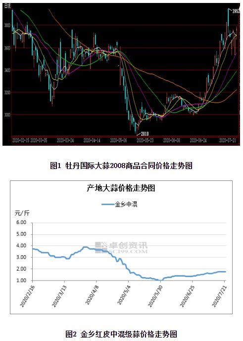 揭迷 天量 大蒜的 消失之旅 与大蒜价格的上涨之因 