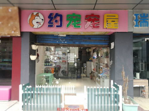 宠物店转让位于江北区观音桥临街门面
