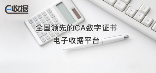 华测CA如何应用(华测云签章服务器)