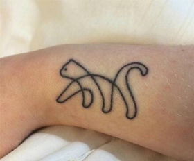 猫 简单 纹身