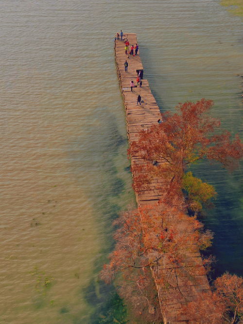 苏州太湖西山风景区,踩雷攻略 