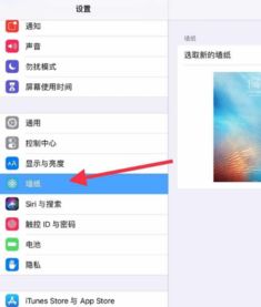 ipad怎么设置壁纸 