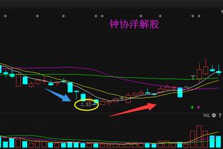 攀钢钒钛股市行情现在怎么样。