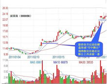 我是一名财务人员，还做股票散户，我家里应该摆放麒麟还是貔貅呢？求各位指点！