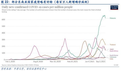 股票跌了我持有的股票数会跌吗