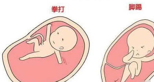 怀孕六个月胎动？怀孕六个月左右胎动是怎样的