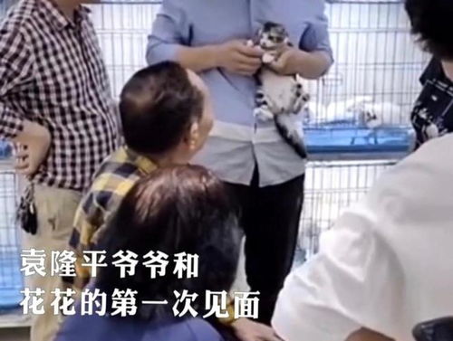 医生建议,袁隆平不适合养猫,但他仍坚持领养了花花,原因是这样