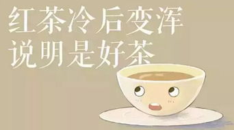 你不知道的茶叶冷知识大全(茶叶知识小百科)