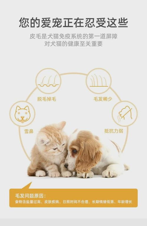 红狗帮助宠物主解决犬猫皮肤问题,持续拓展新品类