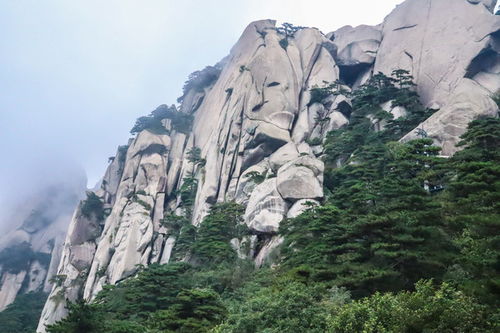 安徽天柱山旅游游记(安庆天柱山攻略特色美食安庆天柱山旅游攻略)