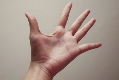 人类的手指为什么有长有短(为什么有些人手指很长有些人手短)