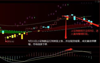 请问在哪个网站能查看到上证指数历史走势图？