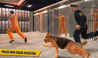 监狱警犬游戏下载 监狱警犬安卓版