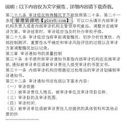 XX省教育系统内部审计项目质量控制手册 制度范本 DOC格式