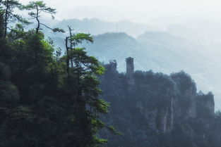 给每一座山起个温暖的名字 自驾张家界 凤凰 