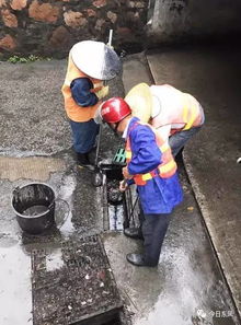 东凤狂风暴雨的背后 他们身上已分不清是汗水还是雨水...