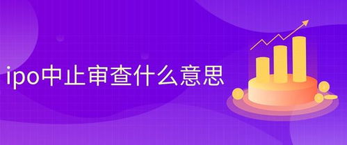 中止审查，重新审查什么意思?