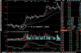 怎样将股票交易软件中的均线向上向下平移