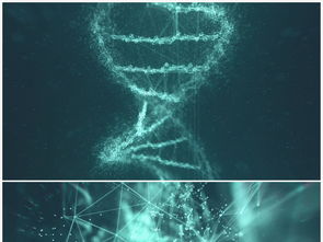 dna基因全息数字科技信息模板素材 高清格式下载 视频47.51MB LED视频 背景视频大全 