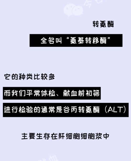 转氨酶偏高 肝炎 难怪献血会被 拒