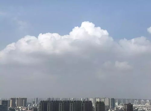 摩羯座下暴雨预警(摩羯2021下半年灾难)(摩羯座2021年下半年运势第一星座)