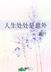 人生处处是意外 懿叶 晋江文学城 