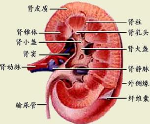 南宁哪里治疗肾结石效果好█华南首家结石专科█ 