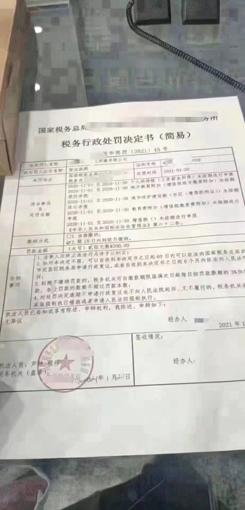 公司的张被税务局的人拿走了，账簿，有做的假账，怎么办？？