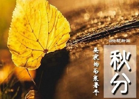 秋分你谈恋爱了吗 秋分祝福语短信大全2016腾牛网发布 