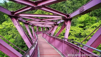 日本石川县旅游攻略，石川县在日本哪离东京远吗