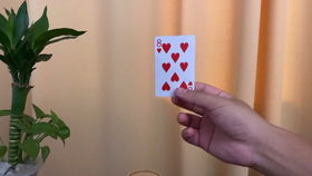 纸牌魔术揭秘 随意拿一张扑克即可消失,困惑多年终于揭晓