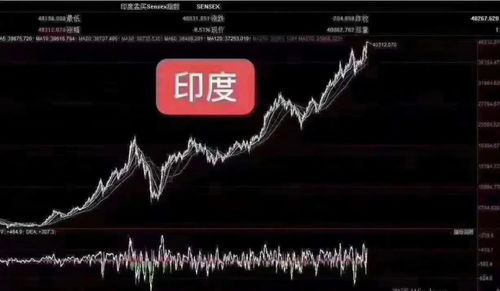 首日上涨4.48%,000591最少涨100倍