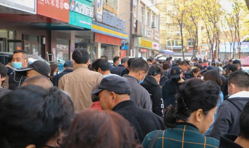 西安最大的宠物集市,一周只 萌 两天